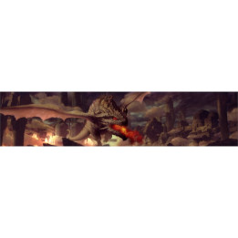 Mournblade - Ecran + Carte Jeunes Royaumes