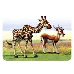 Kenya - Cartes et petits jeux - Achetez sur ludifolie