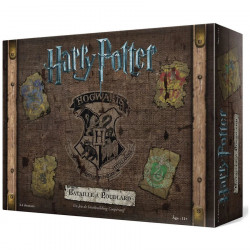 Acheter Choixpeau Magique - Harry Potter - Ludifolie