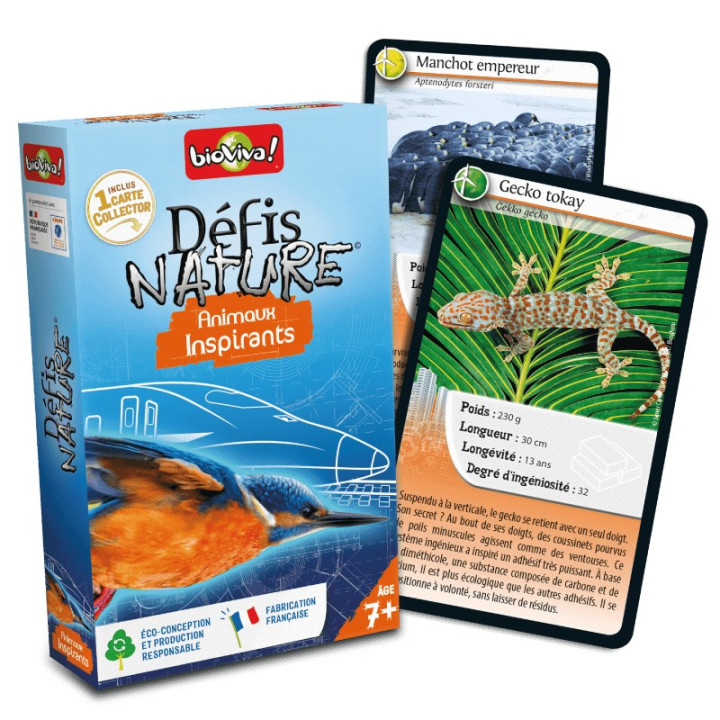 Défis Nature : Animaux Inspirants