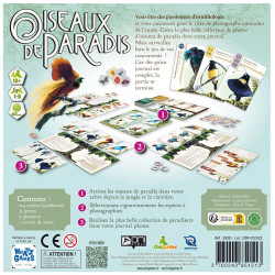 Oiseaux de Paradis