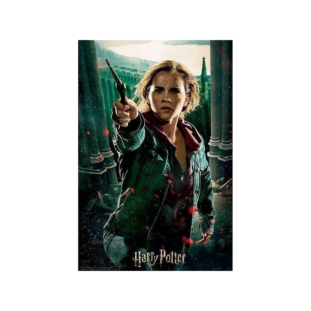 Acheter Puzzle Prime 3D Harry Potter Hermione 300 pièces