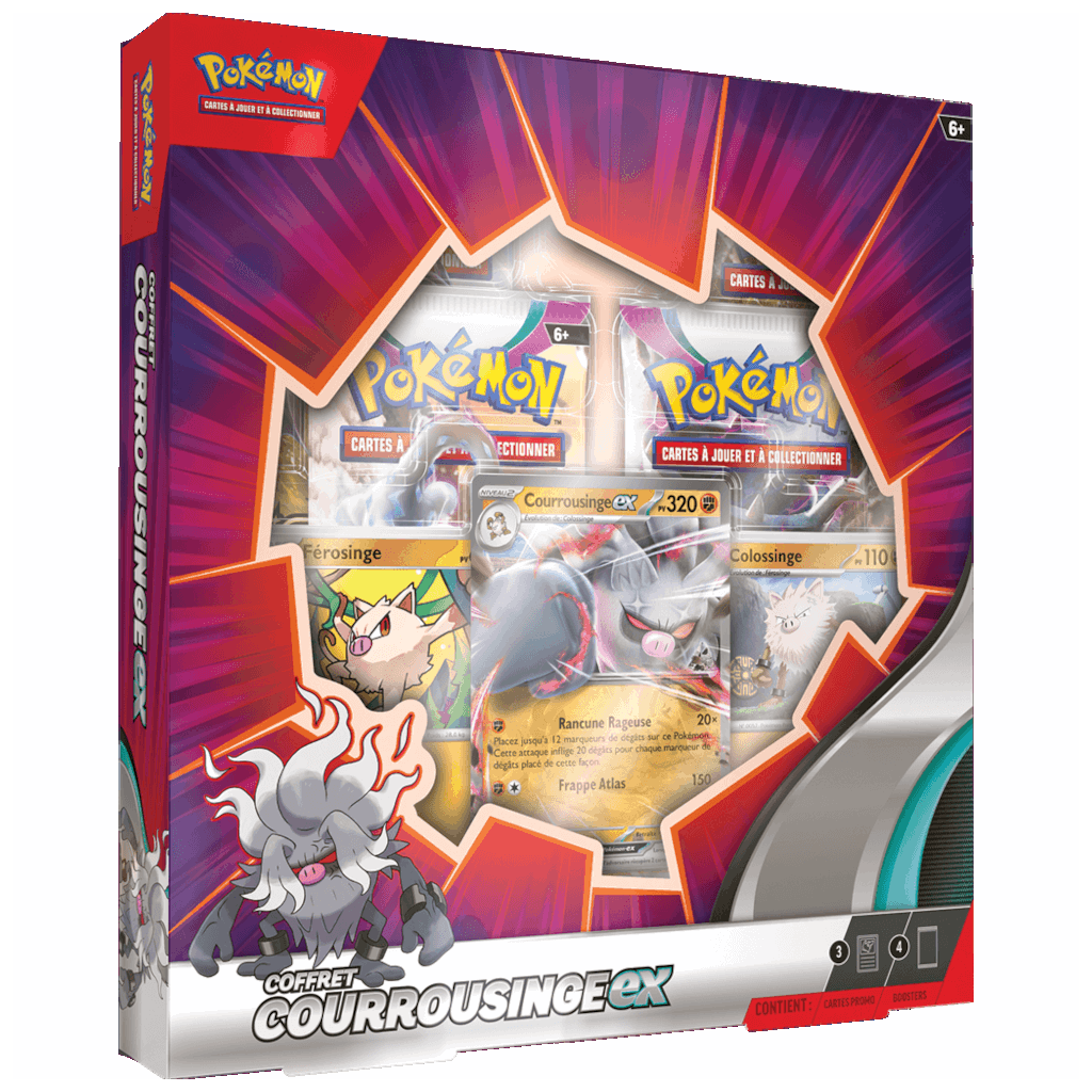 Grand coffre de rangement pour cartes Pokémon Boîte de rangement