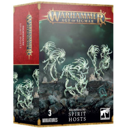 Age of Sigmar: Nighthaunt - Spirit Hosts