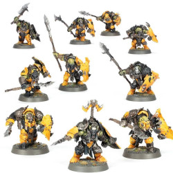 Age of Sigmar : Orruk Warclans - Orruk Ardboys