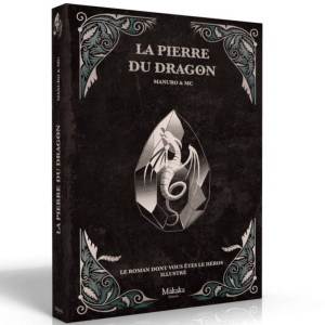 La Pierre du Dragon : Le Roman dont vous Êtes le Héros