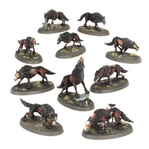 Age of Sigmar : Soulblight Gravelords - Dire Wolves