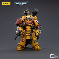 W40K - Figurine Joy Toy : Imperial Fists First Captain Tor Garadon