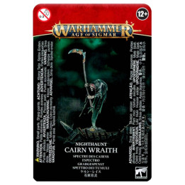 Age of Sigmar : Nighthaunt - Cairn Wraith