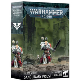 Warhammer 40K : Blood Angels - Sanguinary Priest