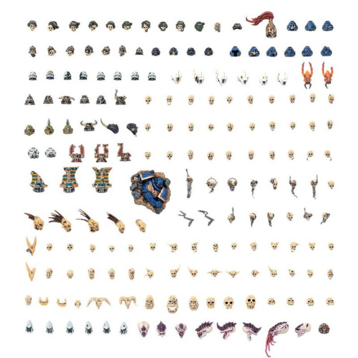 Warhammer 40K : Battlefield Trophies