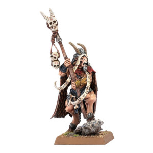 Warhammer : The Old World - Beastmen Brayherds Shaman