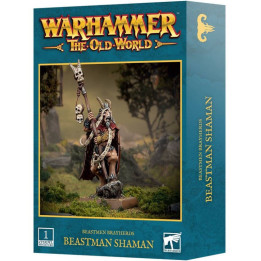Warhammer : The Old World - Beastmen Brayherds Shaman