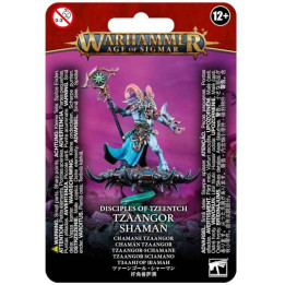 Age of Sigmar : Disciples of Tzeentch - Tzaangor Shaman