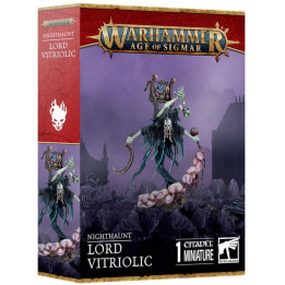 Age of Sigmar : Nighthaunt - Lord Vitriolic