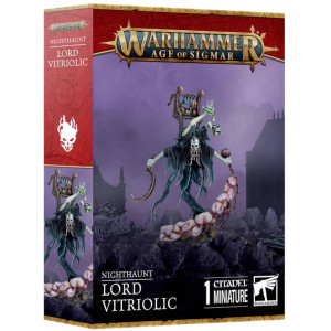 Age of Sigmar : Nighthaunt - Lord Vitriolic