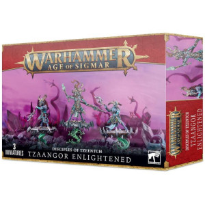Age of Sigmar : Tzeentch Arcanites - Tzaangors Enlightened