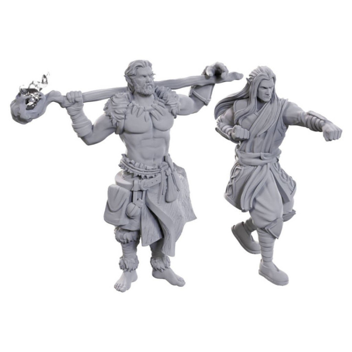D&D : Nolzur's Marvelous Miniatures - Archdruid & Martial Arts Adept