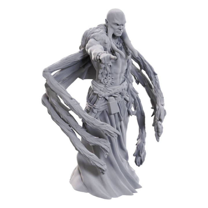 D&D : Nolzur's Marvelous Miniatures - Kraken Priest