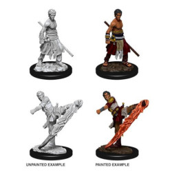 D&D : Nolzur's Marvelous Miniatures - Half-Elf Monk