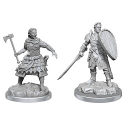 D&D : Nolzur's Marvelous Miniatures - Human Fighters