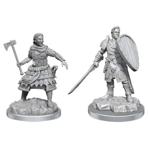 D&D : Nolzur's Marvelous Miniatures - Human Fighters