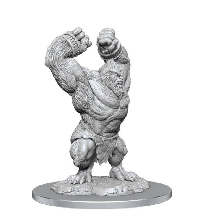 D&D : Nolzur's Marvelous Miniatures - Barlgura