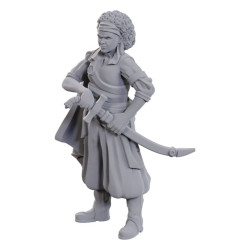 D&D : Nolzur's Marvelous Miniatures - Ansalon Human Rogue