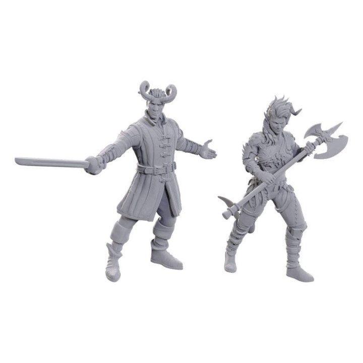 D&D : Nolzur's Marvelous Miniatures - Wyll & Karlach