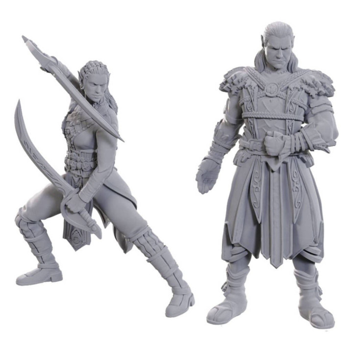 Acheter D&D : Nolzur's Minis - Jaheira & Halsin - Ludifolie