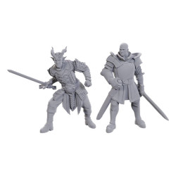 D&D : Nolzur's Marvelous Miniatures - Ravengard & Zevlor