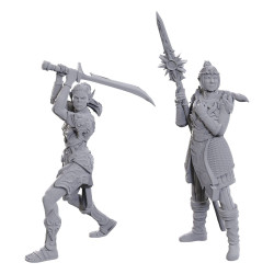 Nolzur's Marvelous Miniatures - Lae'zel & Shadowheart