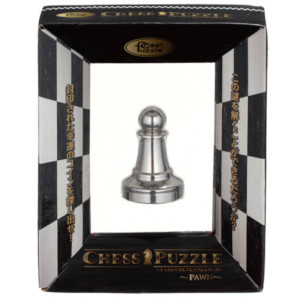 Boite de Cast Huzzle Chess Pawn Silver