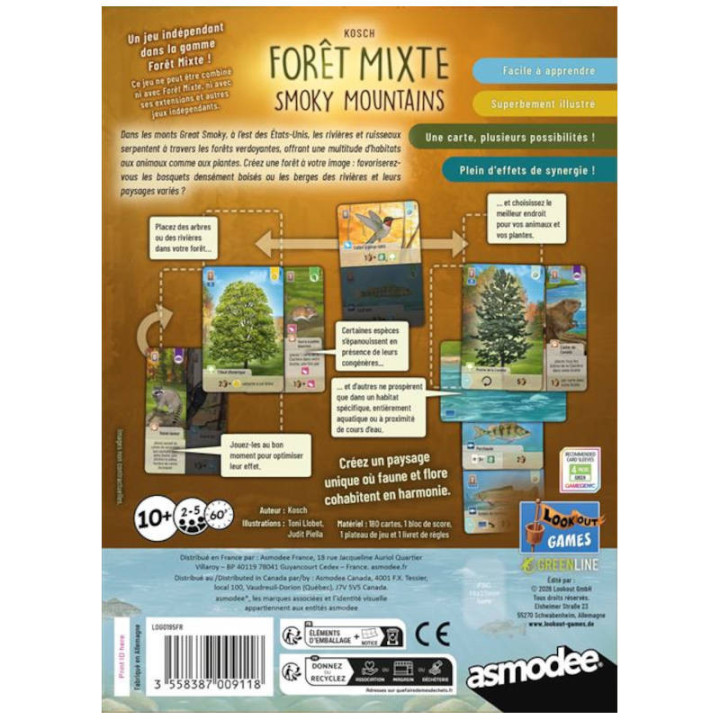 Forêt Mixte - Smoky Mountains