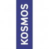 Kosmos