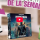 Les sorties du 13/06/25
